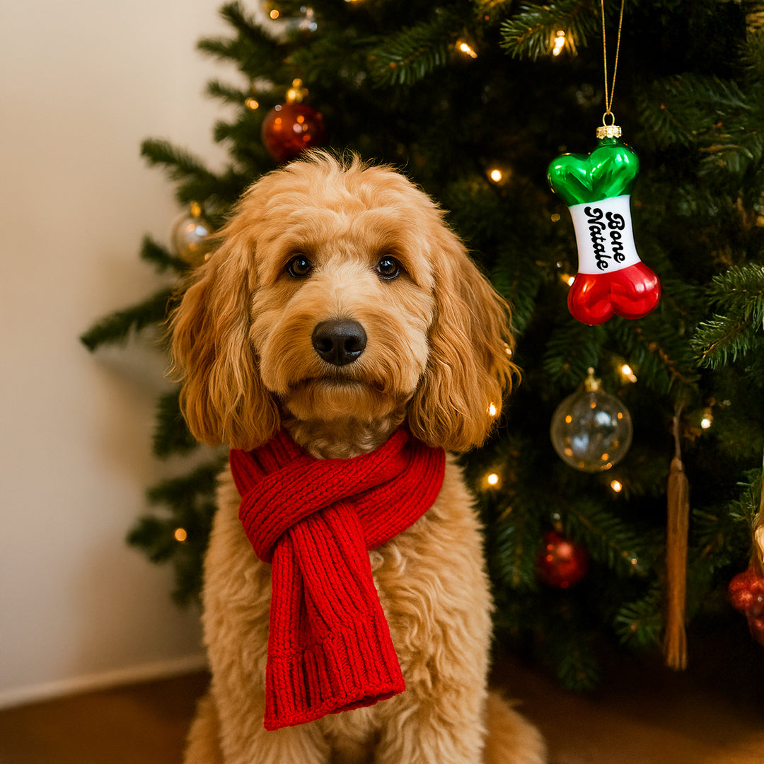 Italian Dog Bone Ornament